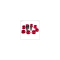 1999-2006 Chevy/GMC Silverado/Sierra Replacement Bushing for DJM Upper Control Arms — DJM Suspension BK2599U
