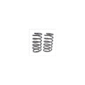 2001-2006 Avalanche, Tahoe and Suburban 3 Inch Rear Lowering Coil Springs — DJM Suspension CS2000R-3