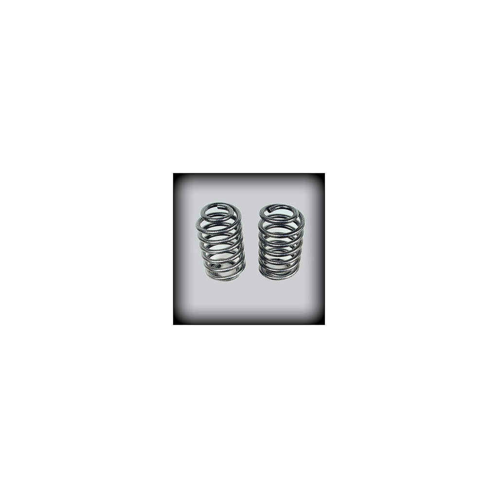 2001–2010 Chevy Trailblazer 4 inch Rear Coil Springs — DJM Suspension CS2301R-4