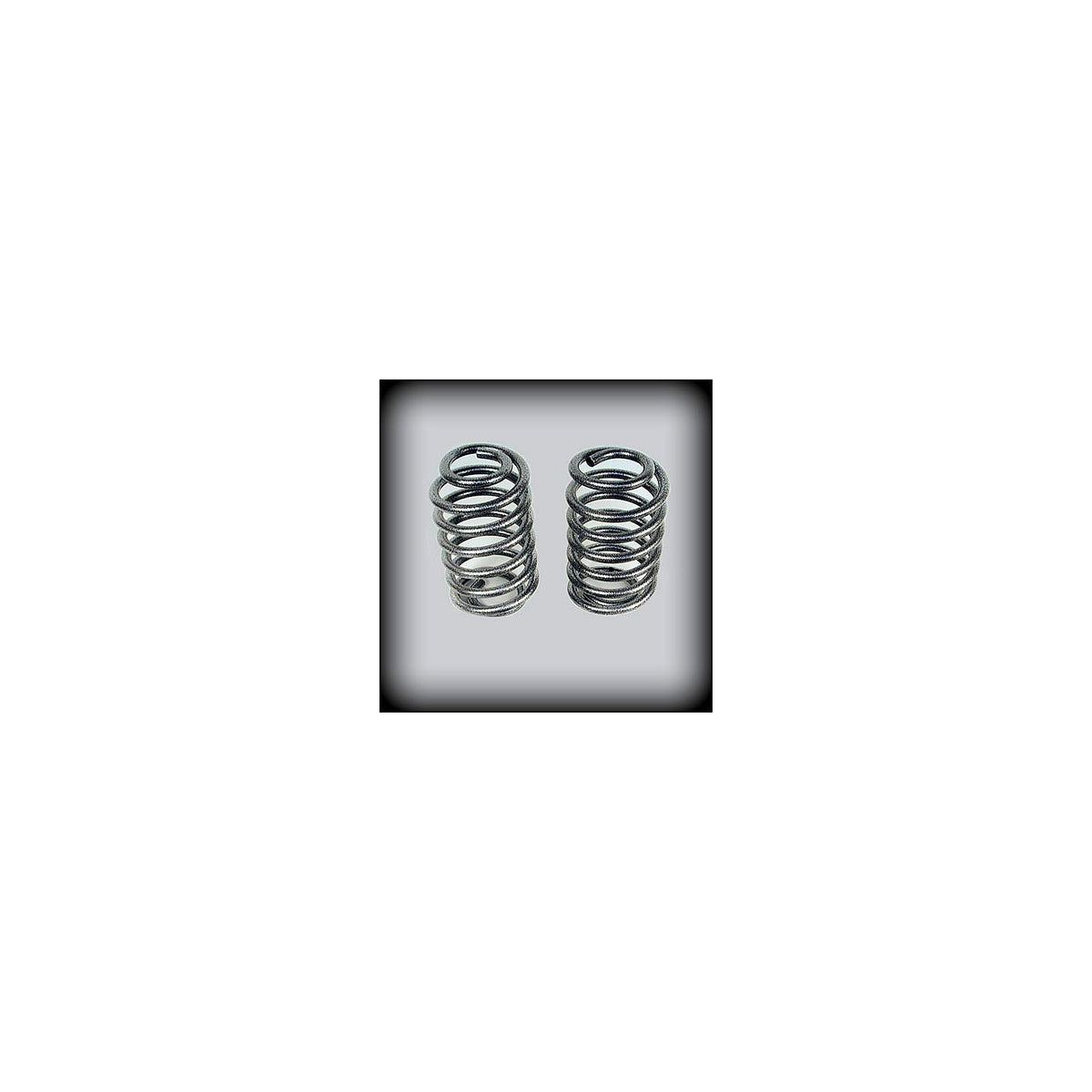 2001–2010 Chevy Trailblazer 4 inch Rear Coil Springs — DJM Suspension CS2301R-4