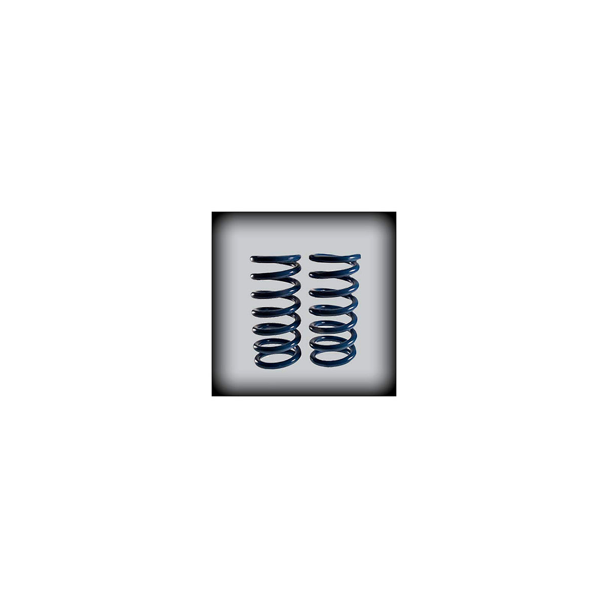 1982–2004 S-10/S-15 & 1982-2004 Blazer/Jimmy 1 inch Lowering Coil Spring Set — DJM Suspension CS2321-1