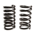 1994-1999 Dodge Ram 2 inch Lowering Coil Spring Set — DJM Suspension CS2391-2