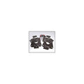 1997-2004 Dodge Dakota Leaf Spring and Shackle Hanger 5 inch Rear Lowering Kit — DJM Suspension HS2397-5
